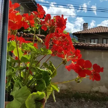 Ferienhaus Maria / мария / Maria