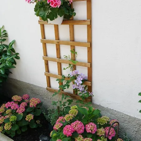 Holiday home Maria / къща за гости мария / Gaestehaus Maria Karlovo